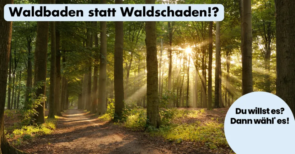 ohnelogo_linkedin_waldbaden